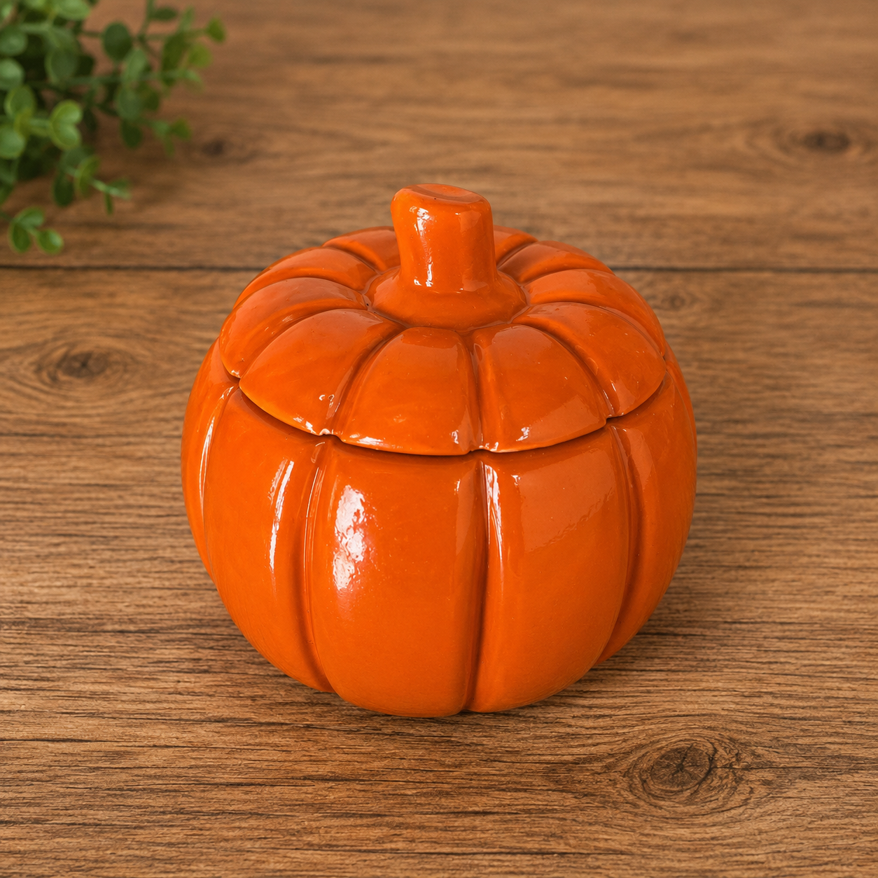 Envases temporada otoño