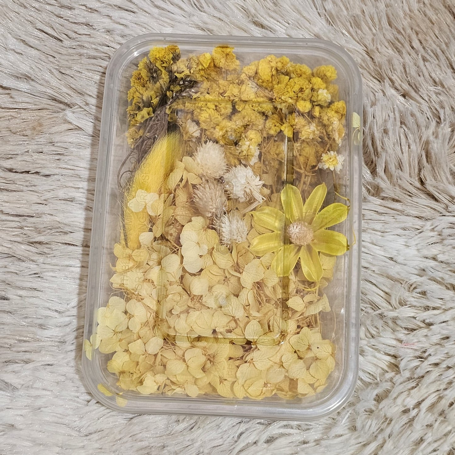 Flor deshidratada caja