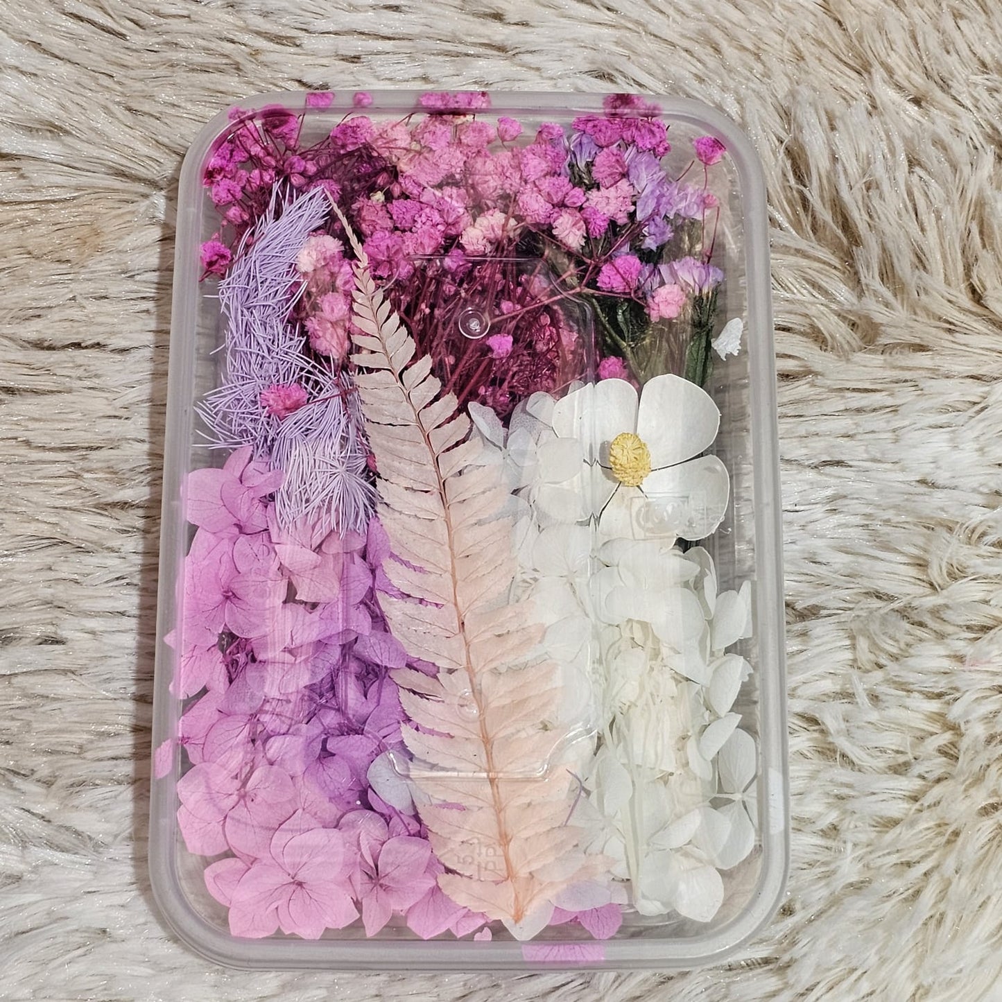 Flor deshidratada caja