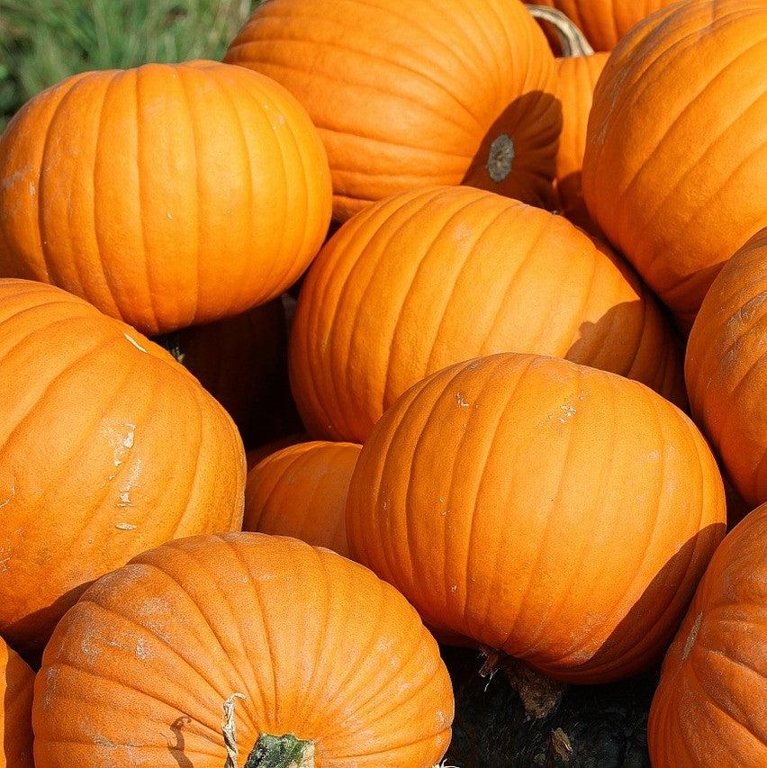 Aroma Calabaza