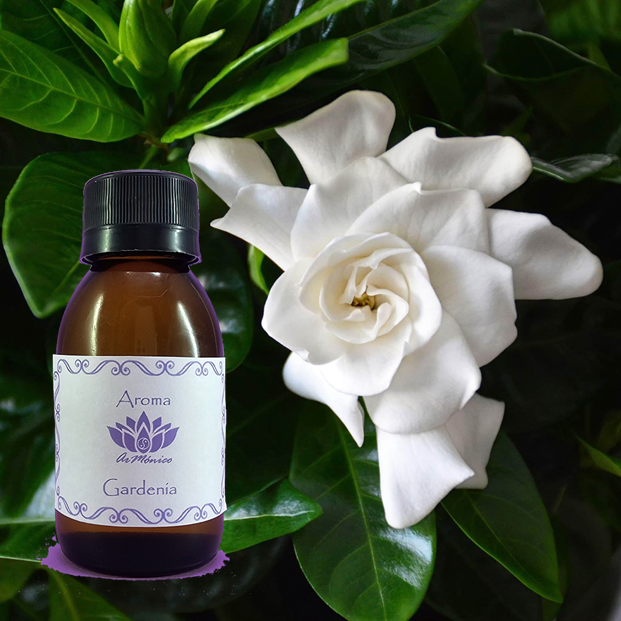 Aroma Gardenia