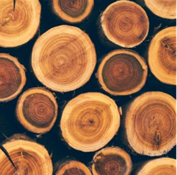 Aroma Madera