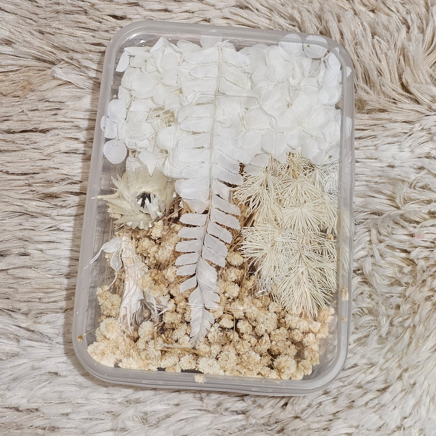 Flor deshidratada caja