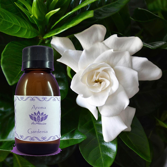 Aroma Gardenia