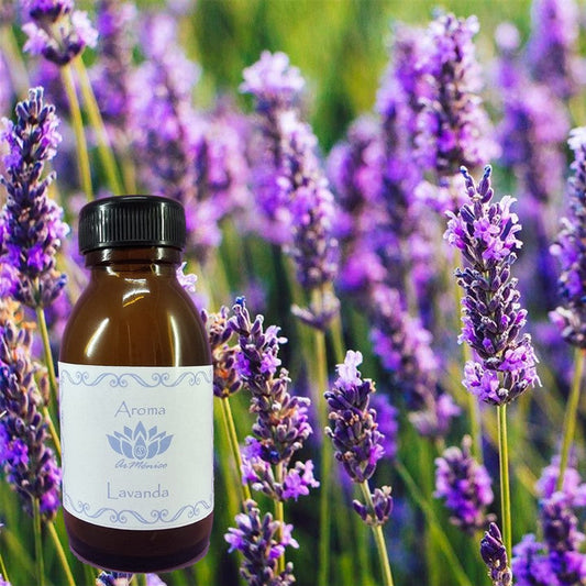 Aroma Lavanda