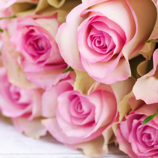 Aroma Rosas